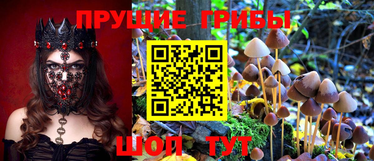 Псилоцибиновые грибы Magic Shrooms  Вход с VPN  Галлюциногенные грибы мухоморы  купить наркоту  Элиста 