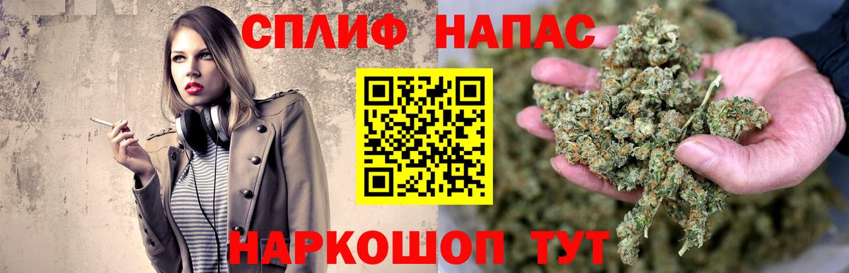 Бошки марихуана планчик  Бошки марихуана ГИДРОПОН  Канабис планчик  Вход с VPN  Каннабис Bruce Banner  Элиста 